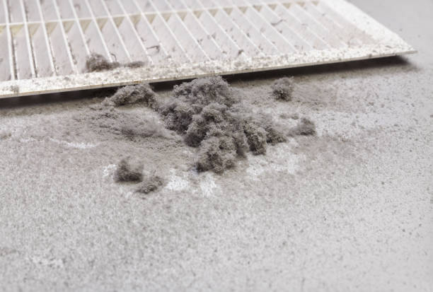Best Air Duct Cleaning Company Near Me  in West Linn, OR