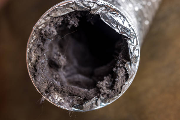 Best Professional Duct Cleaning Services  in West Linn, OR